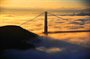 Kaplan International English for Teens - San Francisco Resimleri 8