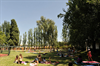 Enforex - Salamanca Resimleri 7