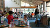 British Study Centres - Wycliffe College Resimleri 7