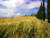 Sprachcaffe - Florence Resimleri 11
